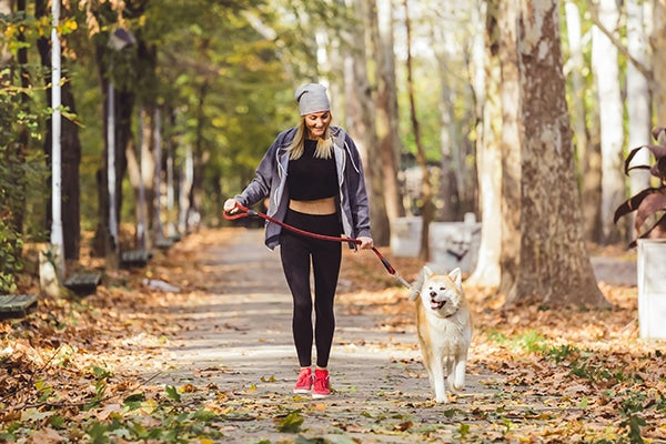 Incorporating CBD to Your Routine