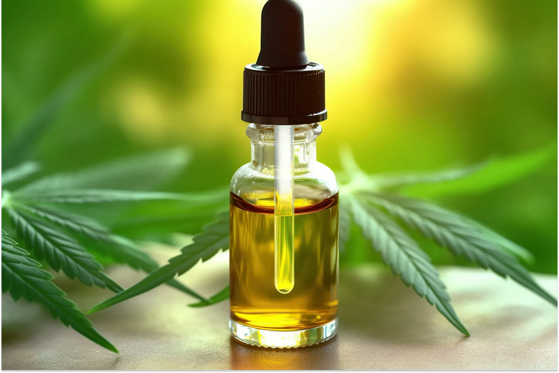 How To Store CBD Oil Effectively
