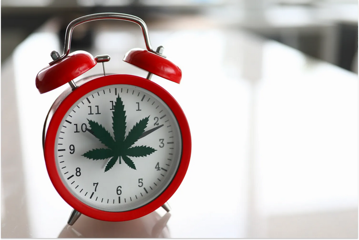 When Are the Best Times To Take CBD?