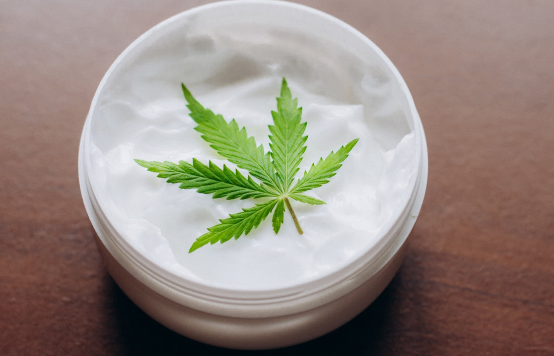 cbd cream